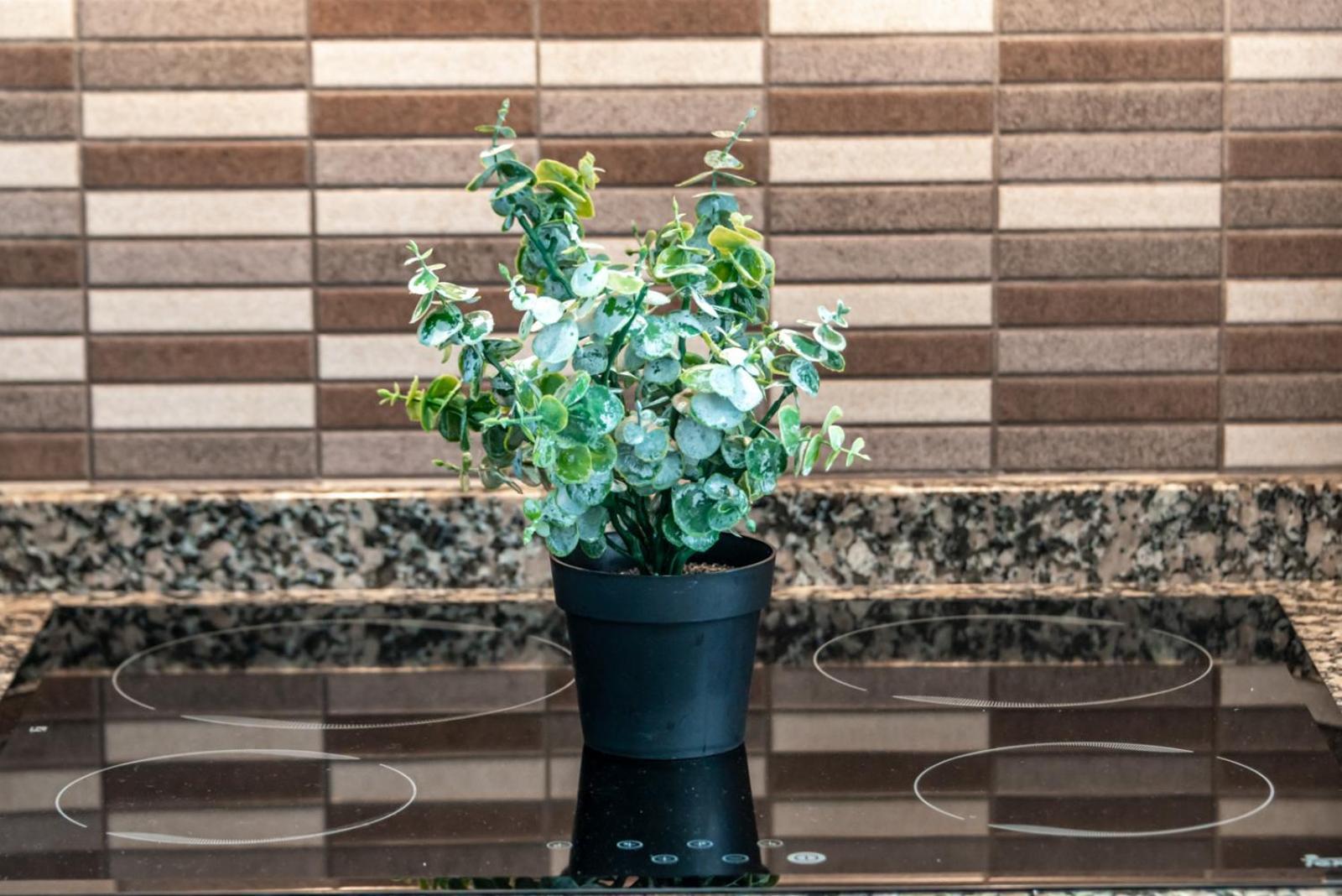 Estudio Loft Horizonte Playa Fossa كاليبي المظهر الخارجي الصورة